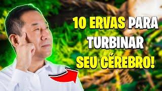 10 ERVAS PARA TURBINAR SUA MEMÓRIA