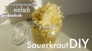 DIY Sauerkraut selber machen - probiotische Rohkost  baumfrei.de