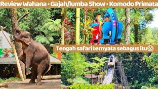 Taman Safari Bogor des2022 REVIEW TERLENGKAP • WahanaPermainan • Atraksi • Komodo&Primata