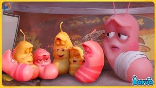 Larva Glue ( Season 3) Larva Cartoons - Official Best Cartoon Movie 20245