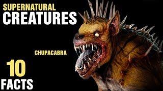 10 Surprising Supernatural Creatures That Exist