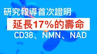 CD38 抑制劑增加NAD+、延長壽命