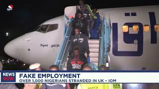 Fake employment: over 1,000 Nigerians stranded in UK – IOM