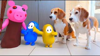 Animations in REAL LIFE vs Funny Dogs  | Peppa Pig - Fall Guys