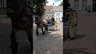  Ringrijden Sjezen Middelburg Netherlands @TravelwithHugoF  #ringrijden #middelburg #netherlands