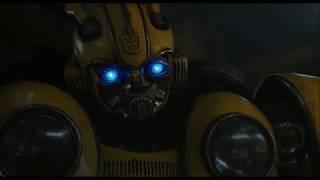 Bee Listens To Questionable Song Choices, Vol. 1