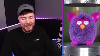 Beast Reacts To Juicy Oranges