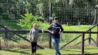 Five Sisters Zoo, West Lothian