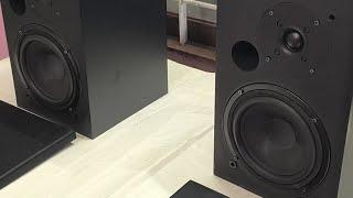 2 way bookshelf speaker  (speaker from Doogeesound )