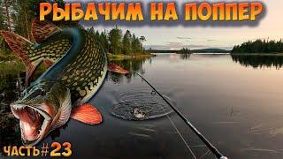 #23 Рыбачим на поппер | Ковдозеро 2023