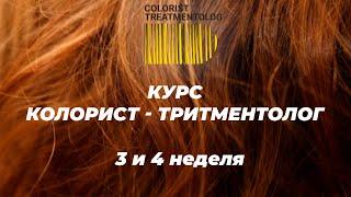 Курс КОЛОРИСТ-ТРИТМЕНТОЛОГ. 3 и 4 неделя обучения. Видеоотчет.