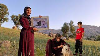 A Wish in the Heart of the Zagros Mountains: The Story of a Papi Dog's Rescue in an Abandoned Hut...