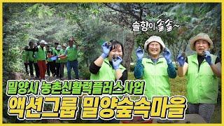 밀양시 농촌 신활력플러스사업 액션그룹: 밀양숲속마을