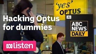 Hacking Optus: A beginner’s guide | ABC News Daily