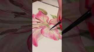 Watercolor lily drawing  #botanicalwatercolor #painting #healingthroughart