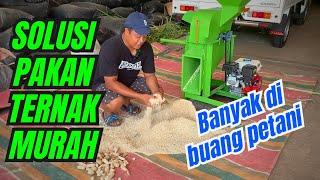 SOLUSI Pakan Ternak Murah Tambahan Serat Untuk Sapi & Domba | Mesin Coper #pakanternak #mesincoper