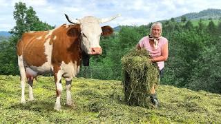 Life in Brustury Village Featuring Animals Nature and Grandma's Cooking!