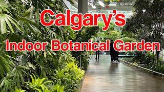 The Devonian Gardens | Calgary's Indoor Tropical Botanical Garden | City of Calgary Parks | 4K