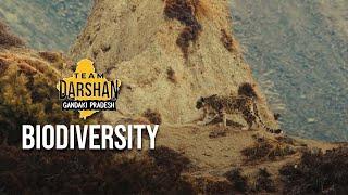 Team Darshan - Biodiversity | गण्डकी प्रदेश | Imagine Nepal