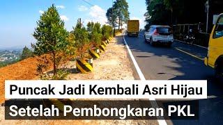 kawasan jalan raya puncak setelah pembongkaran & penertiban bangunal PKL menjadi asri kembali hijau