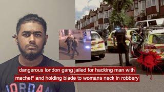 dangerous london gang jailed for hacking man with machet*, holding blade to woman's neck in robbery