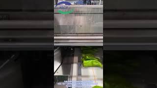 Full-Automatic Flow Packing Machine Green Pepper Tray Packaging Machine Cling Film Wrap Machinery