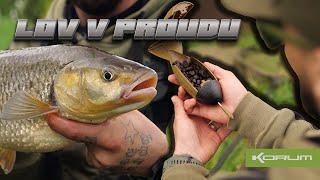 LOV V PROUDU - #rybaření #feeder #řeka #rybolov #rybář #korum #korumcz