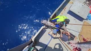 Mako shark attacks Swordfish