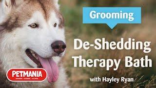 De-Shedding Therapy Bath & Styling at Petmania Grooming Studios with Hayley Ryan