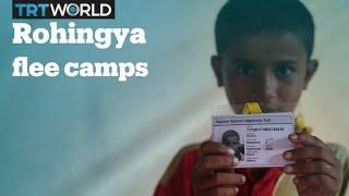 Rohingya refugees flee camps in Bangladesh to avoid repatriation