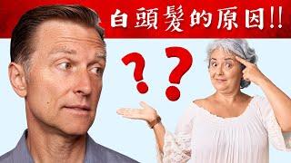 壓力會頭髮變白的原理? 營養改善自然療法,柏格醫生 Dr Berg