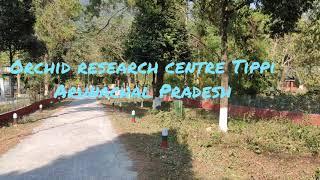 Short clip of Orchid research centre Tippi, Arunachal Pradesh ️️