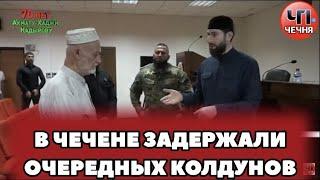 ️В Чечне задержали Колдунов