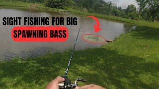 Targeting BIG SPAWN BASS at my local Farm Dam Part 1 - Bass Fishing South Africa.