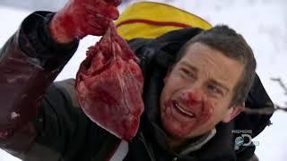 Bear Grylls Eats | Man Vs Wild Season 4| Eating Compilation Part 1