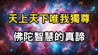 天上天下唯我獨尊：佛祖智慧的真諦！從前世到今生，業力與福報的無盡循環，如何超越時空限制？ #開悟 #覺醒 #靈性成長