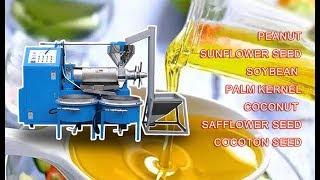 Hot/cold type screw oil press machine, coconut/ palm kernel/ sunflower/peanut oil press machine