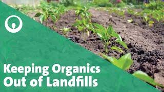 Diverting Organics From Landfill With Anaerobic Digestion