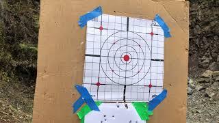 Springfield XDM 9mm 7YDS Accuracy