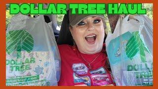 GIANT DOLLAR TREE HAUL | New and Wishlist | June 25, 2024