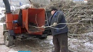 Вести-Хабаровск. Утилизация срубленных городских деревьев