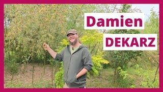 Visite de la forêt comestible de Damien Dekarz | @permacultureetc