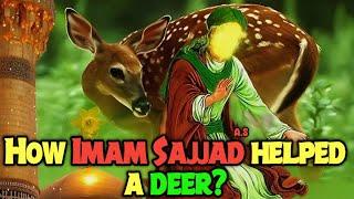 How Imam Zain ul Abidin Helped A Deer | Imam Sajjad | Shahadat | Shia Imam | Karbala |KAZSchool 2023