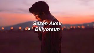 Sezen Aksu - Biliyorsun (Lyrics) "sende benim kadar gerçekleri biliyorsun"