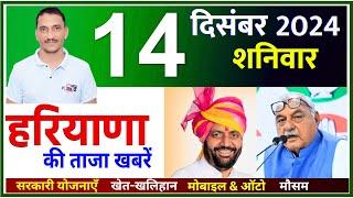 14 December 2024 Haryana News || हरियाणा की ताजा खबरें || Haryana Live News || CWB Hindi News