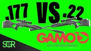 .177 VS .22 Gamo Magnum GEN3i - Which One?