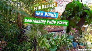 Some New Plants || What Got Cold Damage || Redesigning Patio For Winter || Saturday Vlog