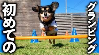 陰キャコミュ障犬が友達とグランピングしたらこうなりました