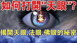 跟著“天眼第一”阿那律尊者，揭開天眼，法眼，佛眼的千古秘密！