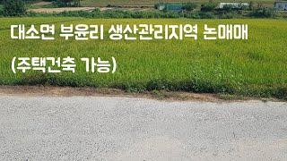 대소면 부윤리 생산관리지역 논매매 (주택 건축 가능)